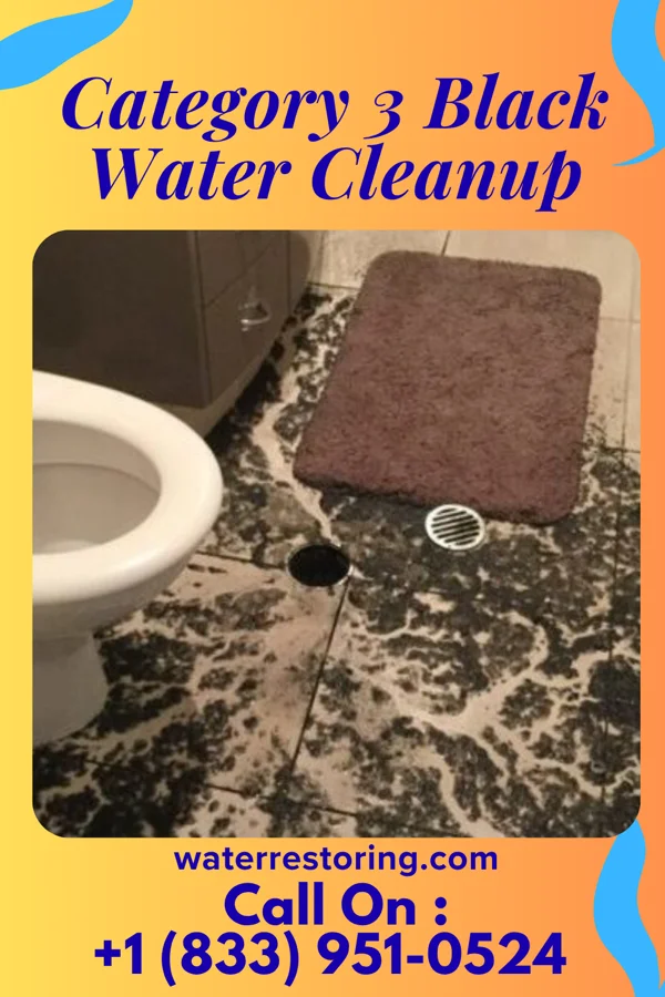 Category 3 Black Water Cleanup in Hanover, MI