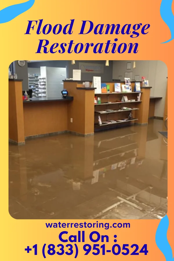 Flood Damage Restoration in Hanover, MI