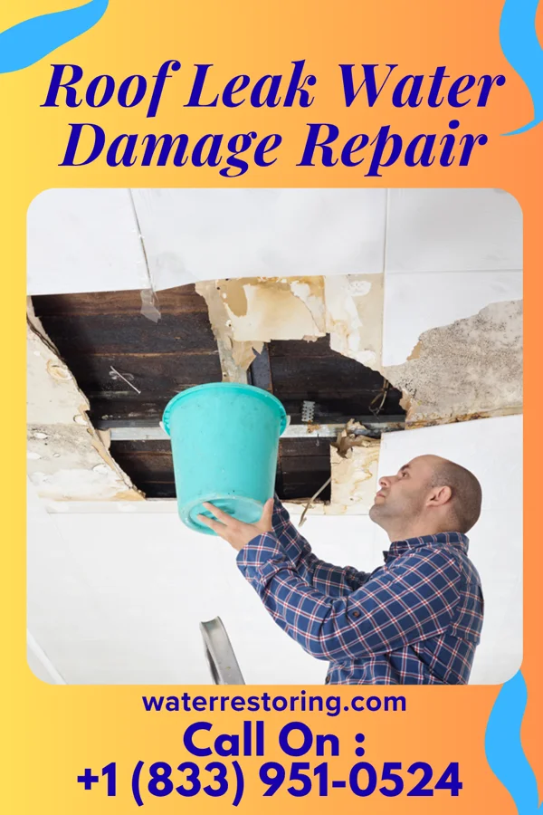 Roof Leak Water Damage Repair in Hanover, MI