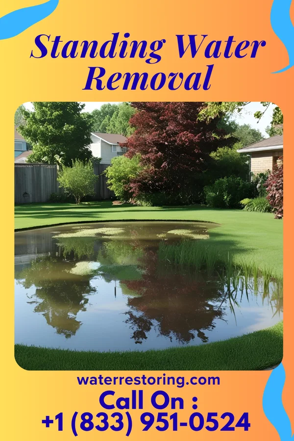 Standing Water Removal in Hanover, MI